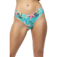 Figi Brasil Sea stars